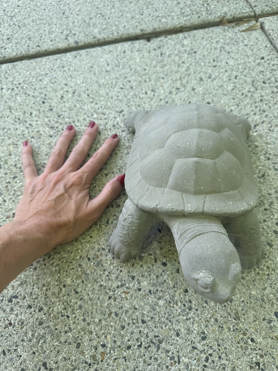 Alle Dekorationen: Beton Schildkröte Gartendeko – Gebraucht aus Dübendorf von Raschima 1