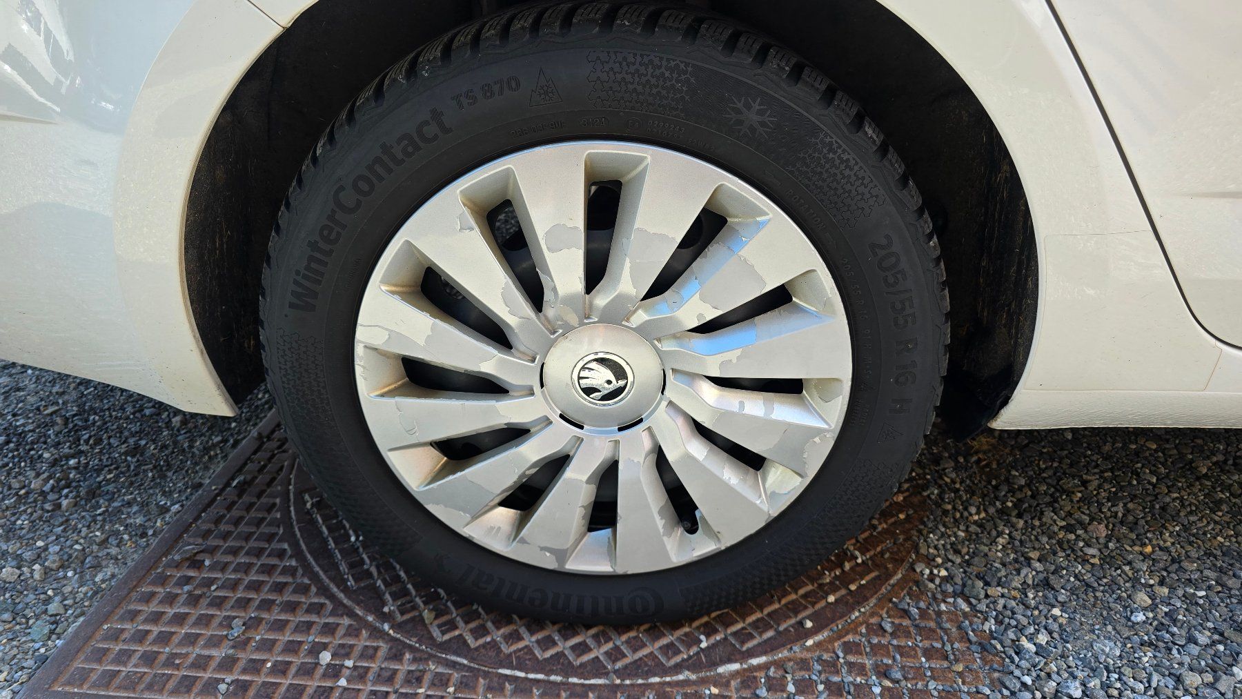 Skoda Automobili: Skoda Octavia 1.6 TDI DSG – Usato da Emmenbrücke venduto da meu_2j8p 6
