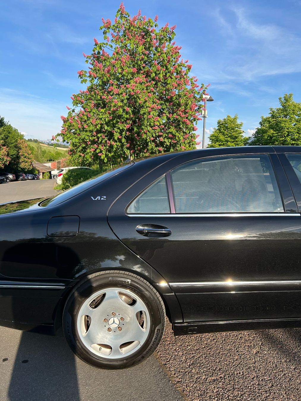 Mercedes-Benz Automobili: Mercedes S600 W220 – Usato da Lachen SZ venduto da nk.sv 3