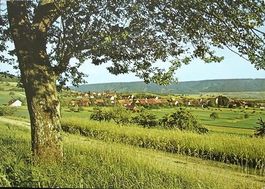 SIBLINGEN SH