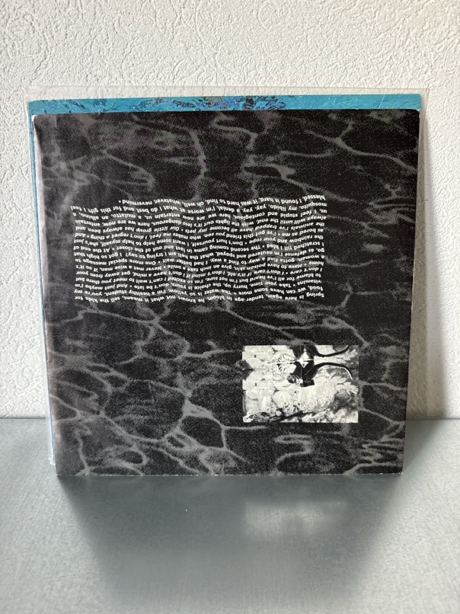 Dischi in vinile: Nirvana - Nevermind Vinyl Record - Excellent Condition! – Usato da Riehen venduto da m_nied 4