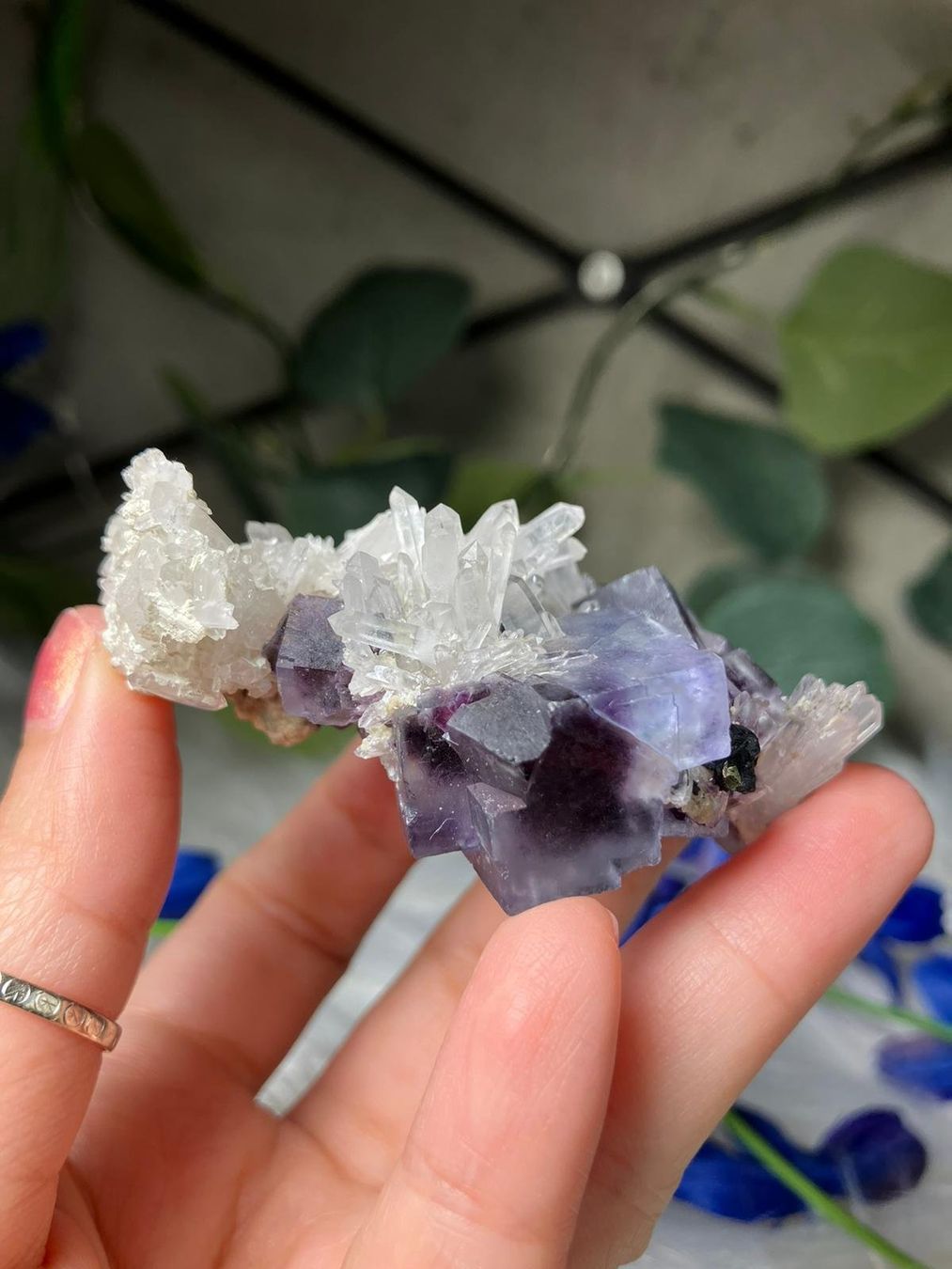 Minerali & Pietre curative: Blauer Fluorit mit Quarzcluster – Usato da Neuheim venduto da m.hald 3