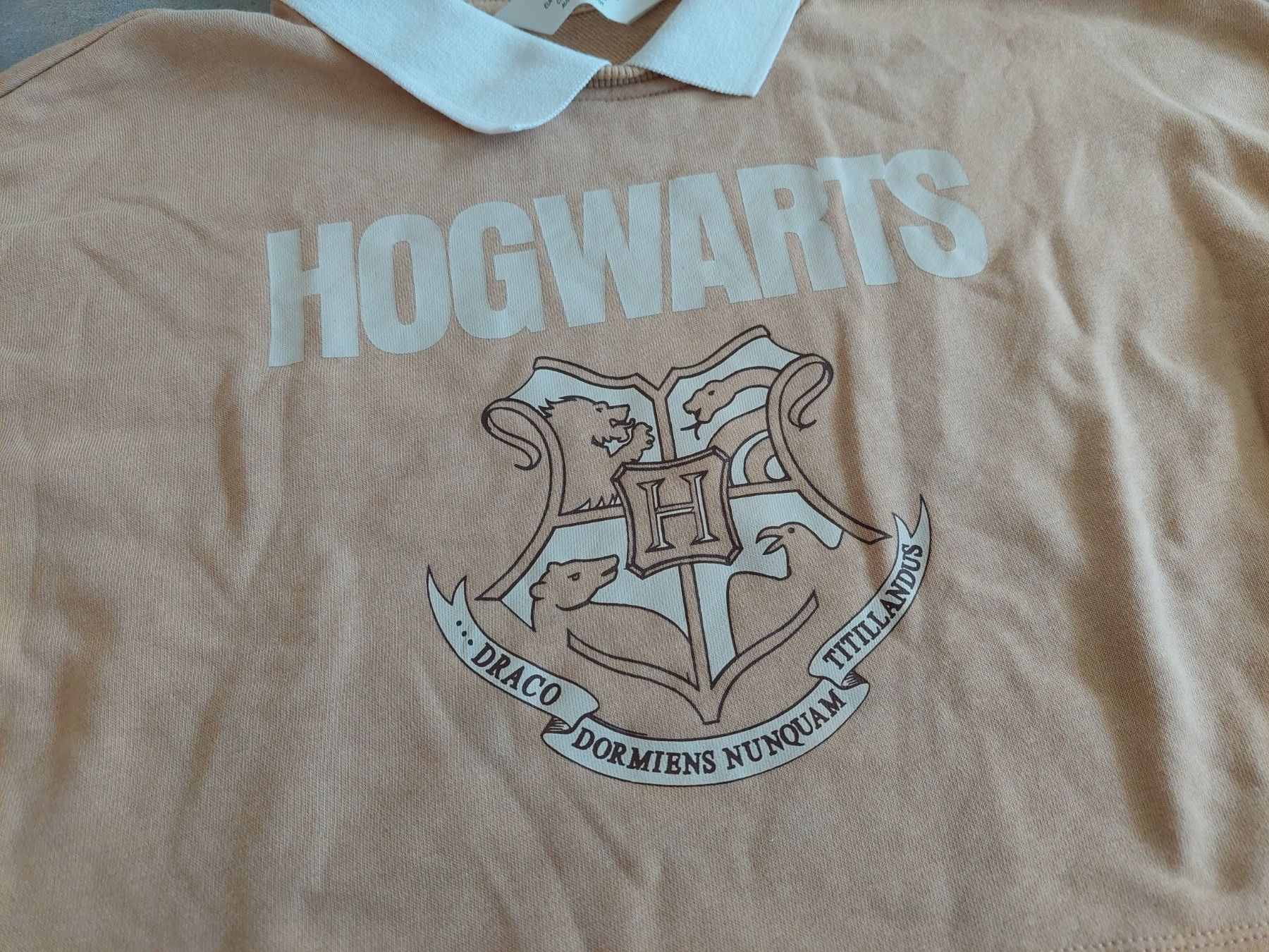 H&M Pullover & Sweatshirts: Harry Potter Hogwarts Pullover von H&M Gr. 146 / 152 – Gebraucht aus Wiesendangen von troawus 1