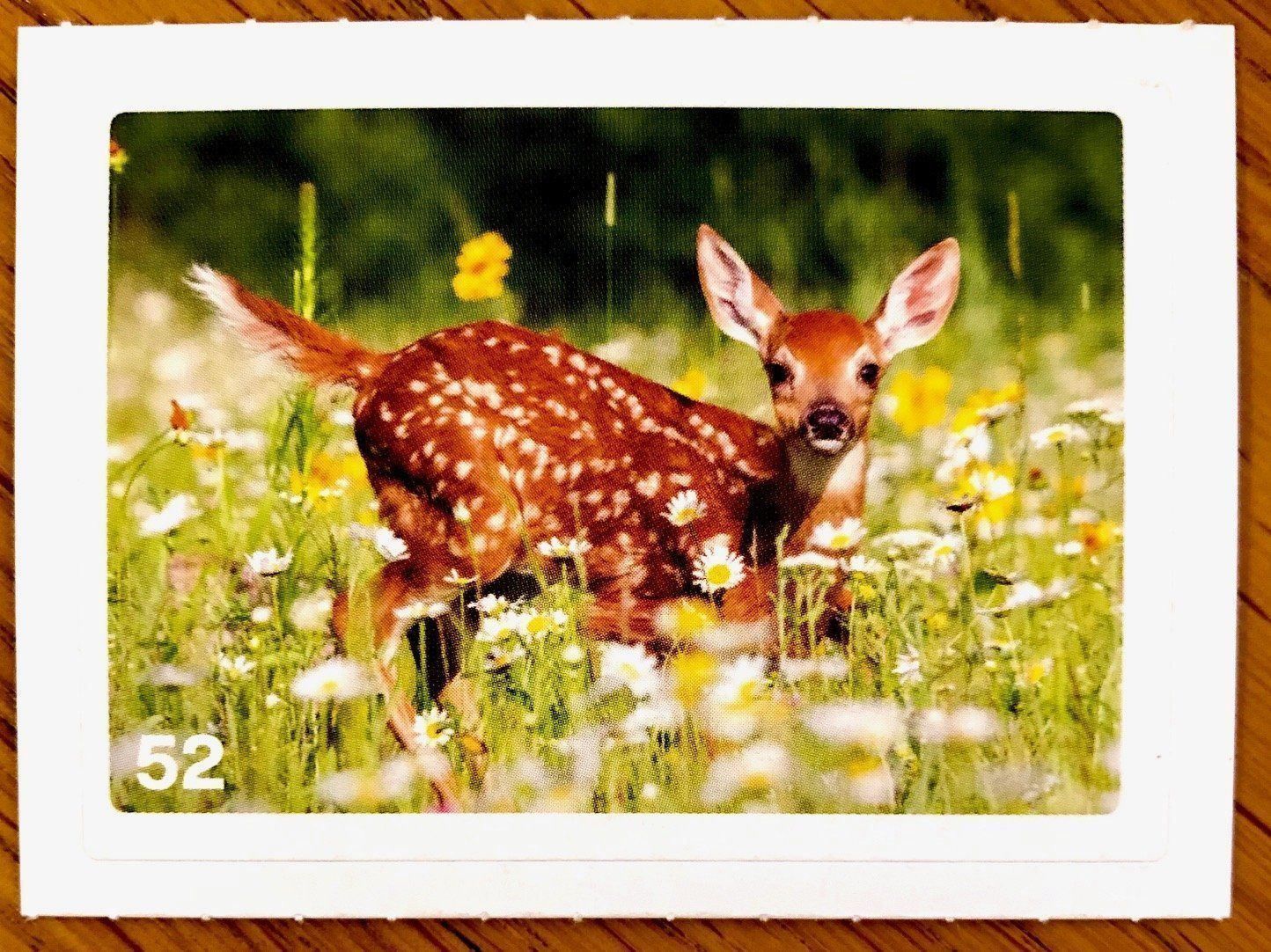 Migros Carte collezionabili: Migros Nature Detectives - Bild Nr. 52 – Nuovo (secondo la descrizione) da Oberrieden venduto da Zimmerberg10