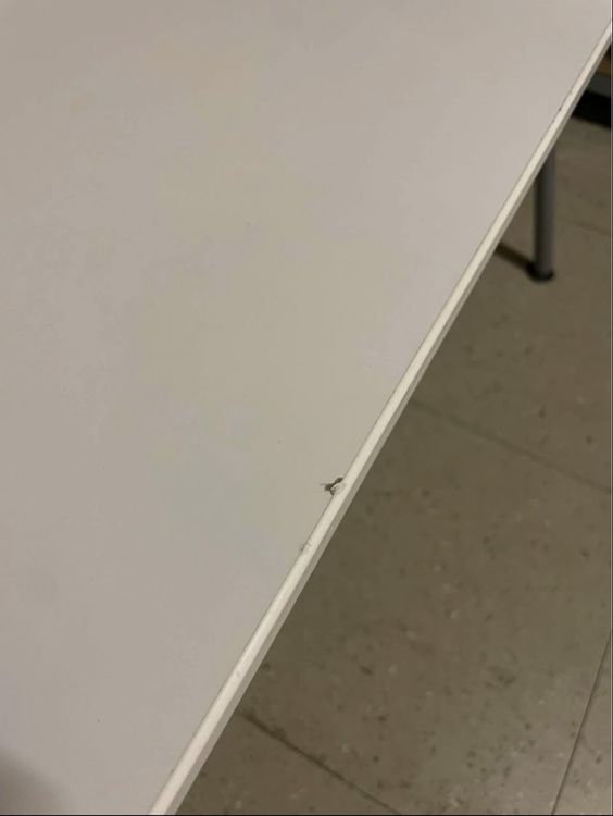 Scrivanie: 2x Bürotisch/Schreibtisch 160x80 identisch – Usato da Stetten AG venduto da Sirius_28 3
