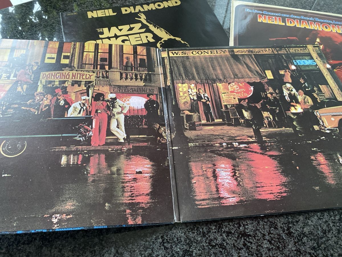 Dischi in vinile: Neil Diamond LP – Usato da St.Gallen venduto da Design04 3