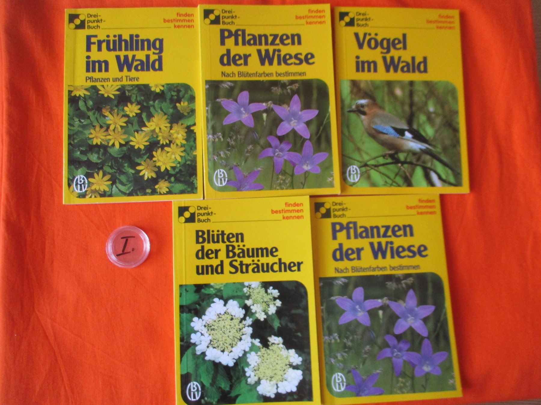 Libri: 5 x Drei Punkt Buch, Bestimmungsbuch – Usato da Birsfelden venduto da alles-muss-raus