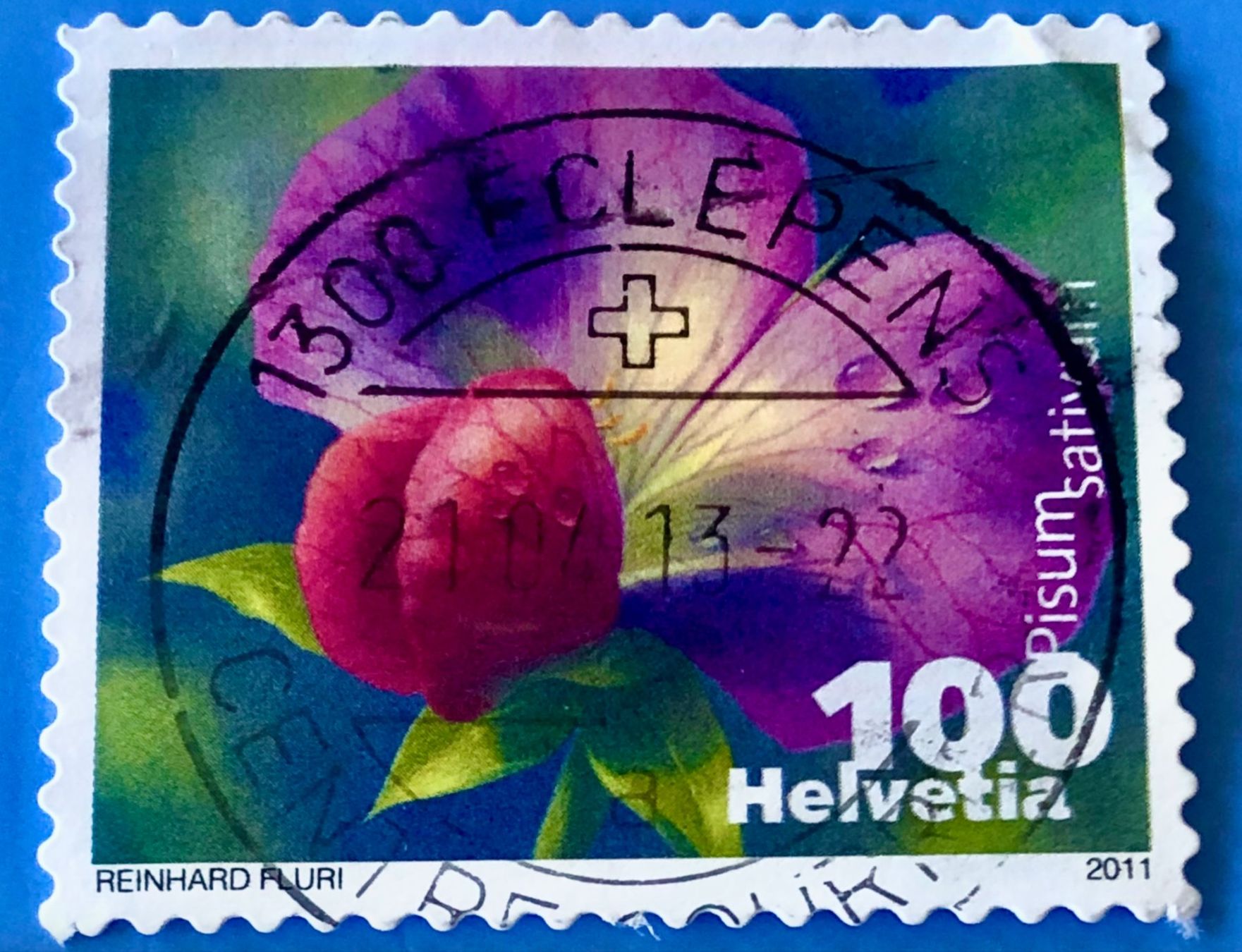 Tutti i francobolli: Nr.1377 mit gestempelt Zucchini 2011    – Usato da Aarau venduto da Billa007