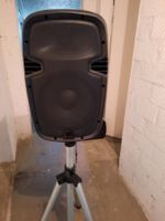 Borton Audio Boxen  2x500 W