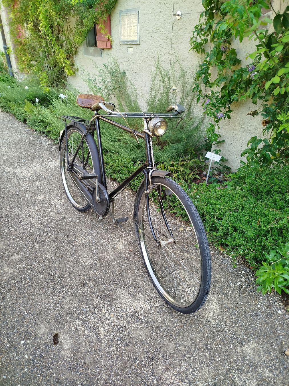 Biciclette: Herrenvelo 3-Gang – Usato da Schaffhausen venduto da Viertelvorvieri