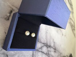 Small natural white pearl earrings