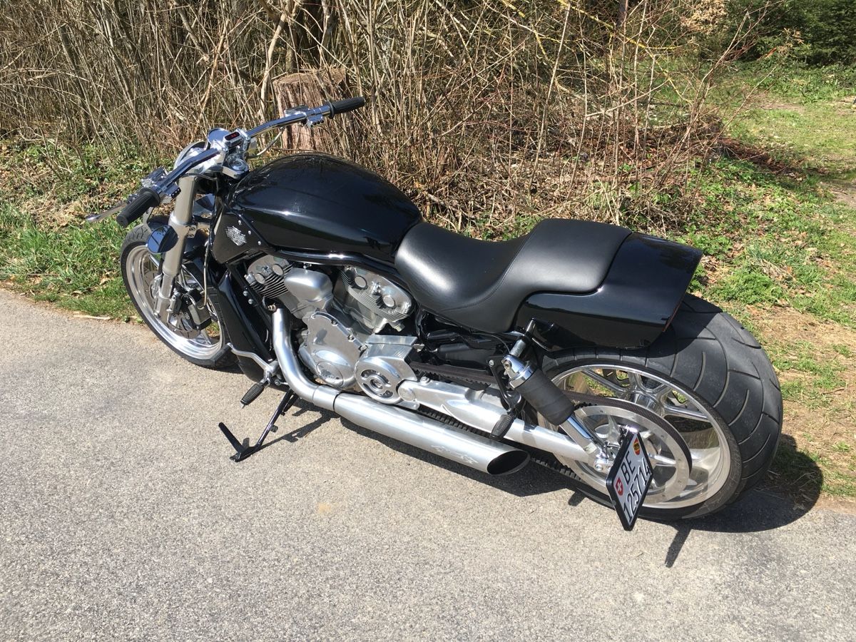Harley-Davidson Chopper: Harley Davidson V-Rod Muscle – Usato da Steinen venduto da peter_a_b 1