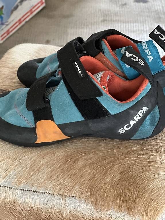 Scarpe da uomo: Chaussons descalade SCARPA Force V Taille 38,5 – Usato da Founex venduto da lit_l8dn