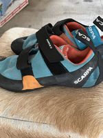 Chaussons descalade SCARPA Force V Taille 38,5
