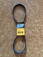 Riemen Continental 6PK1240