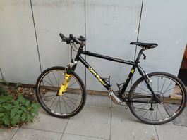 Velo