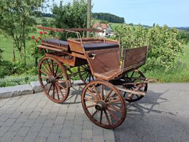 Antikes Pferde Fuhrwerk (Bregg)