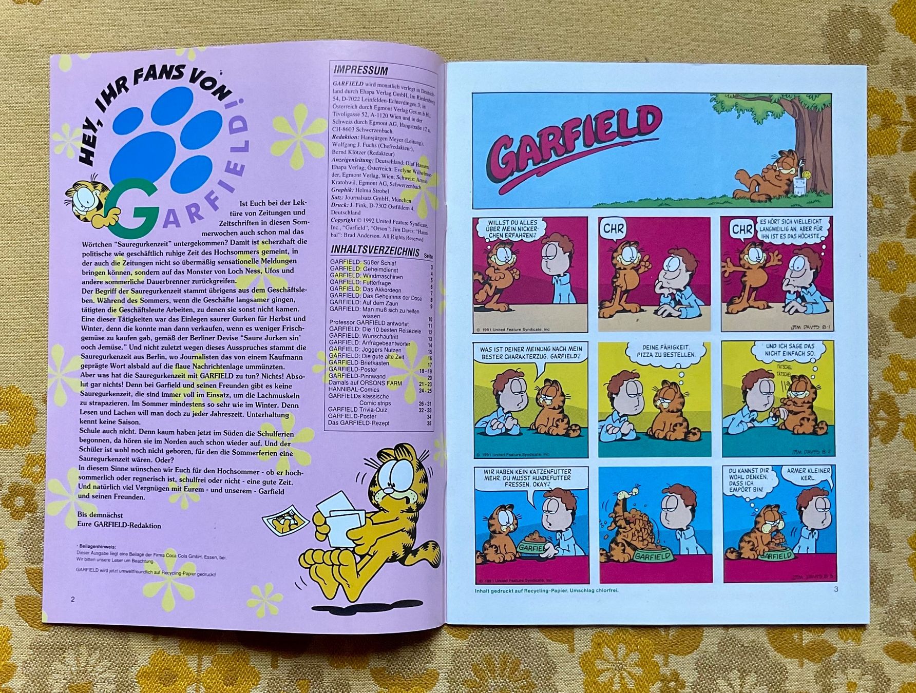 Fumetti: Garfield Heft Nr 8 von 1992 – Usato da Endingen venduto da nathan05 1