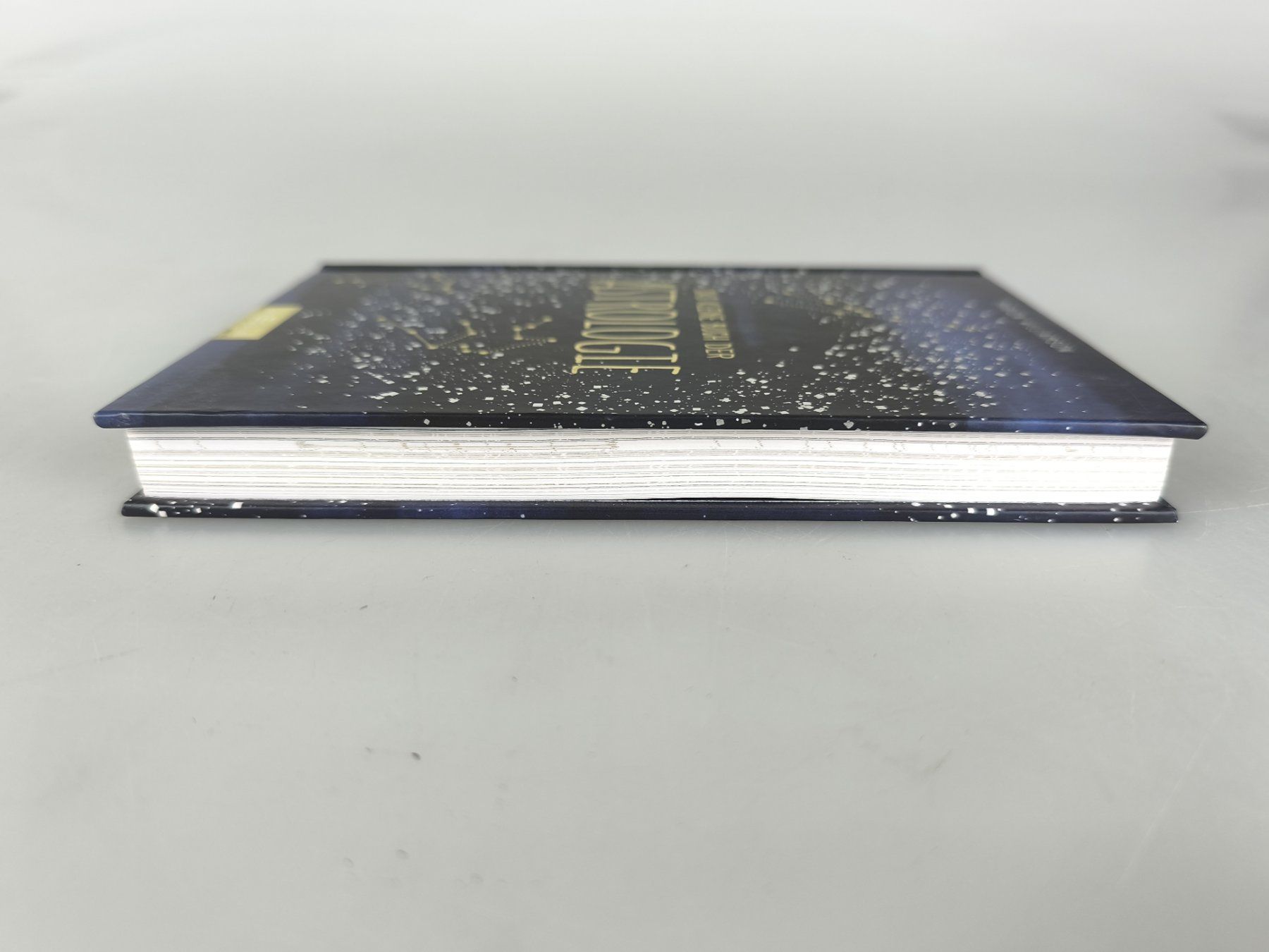 Libri: Das kleine Buch der Astrologie - Marion Williamson – Nuovo (secondo la descrizione) da Rüti ZH venduto da Restwert_Rueti_ZH 3