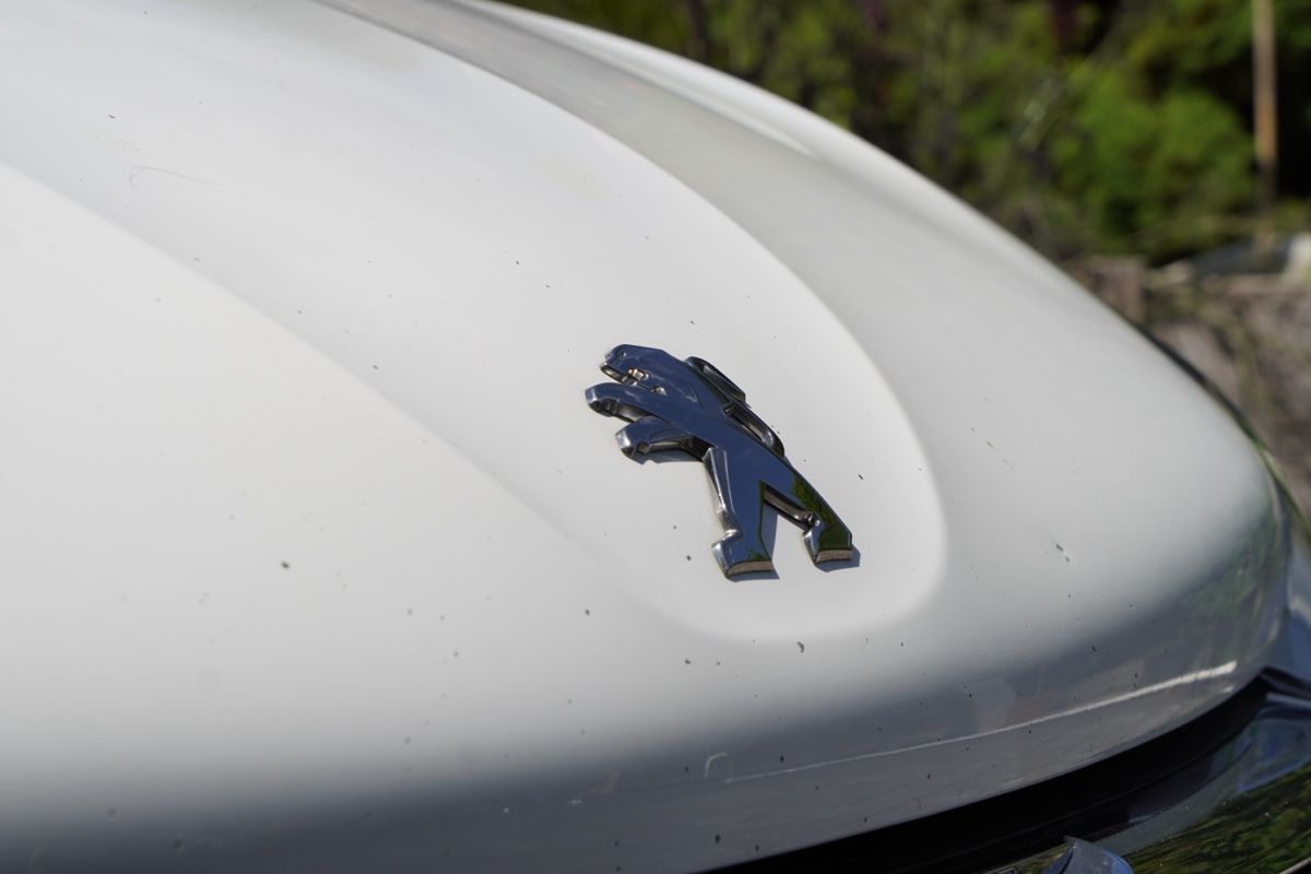 Peugeot Automobili: PEUGEOT 208 1.2i STT – Usato da Meiringen venduto da Josua.f 6