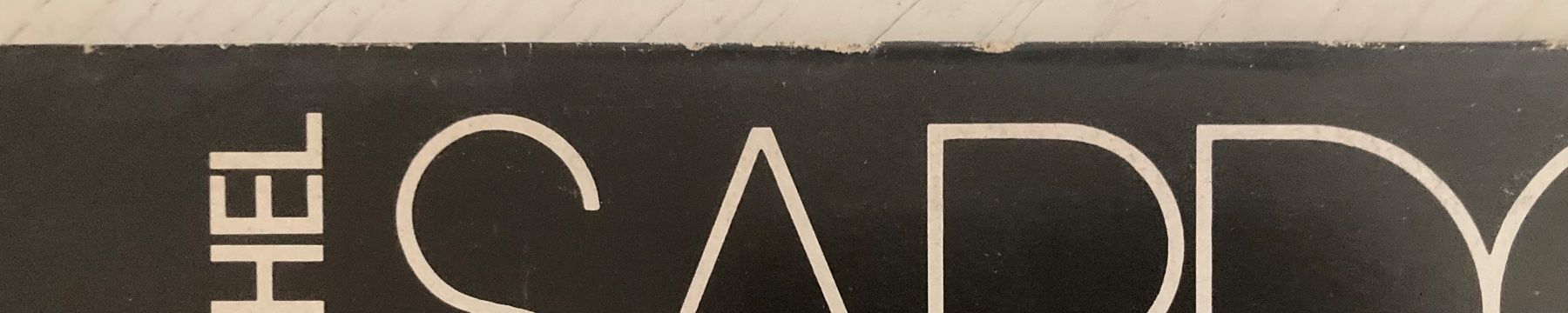 Dischi in vinile: MICHEL SARDOU - LS LACS DES CONNEMARA – Usato da Poliez-Pittet venduto da Newtown-Records 3