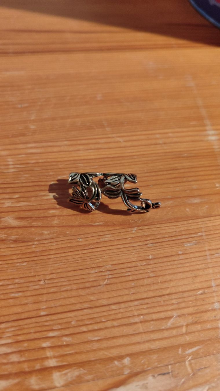 Brandy Melville Orecchini pendenti & Orecchini a lobo: Ohrringe und Ohrstecker Set – Nuovo (secondo la descrizione) da Brüttisellen venduto da nic_xm7s 1
