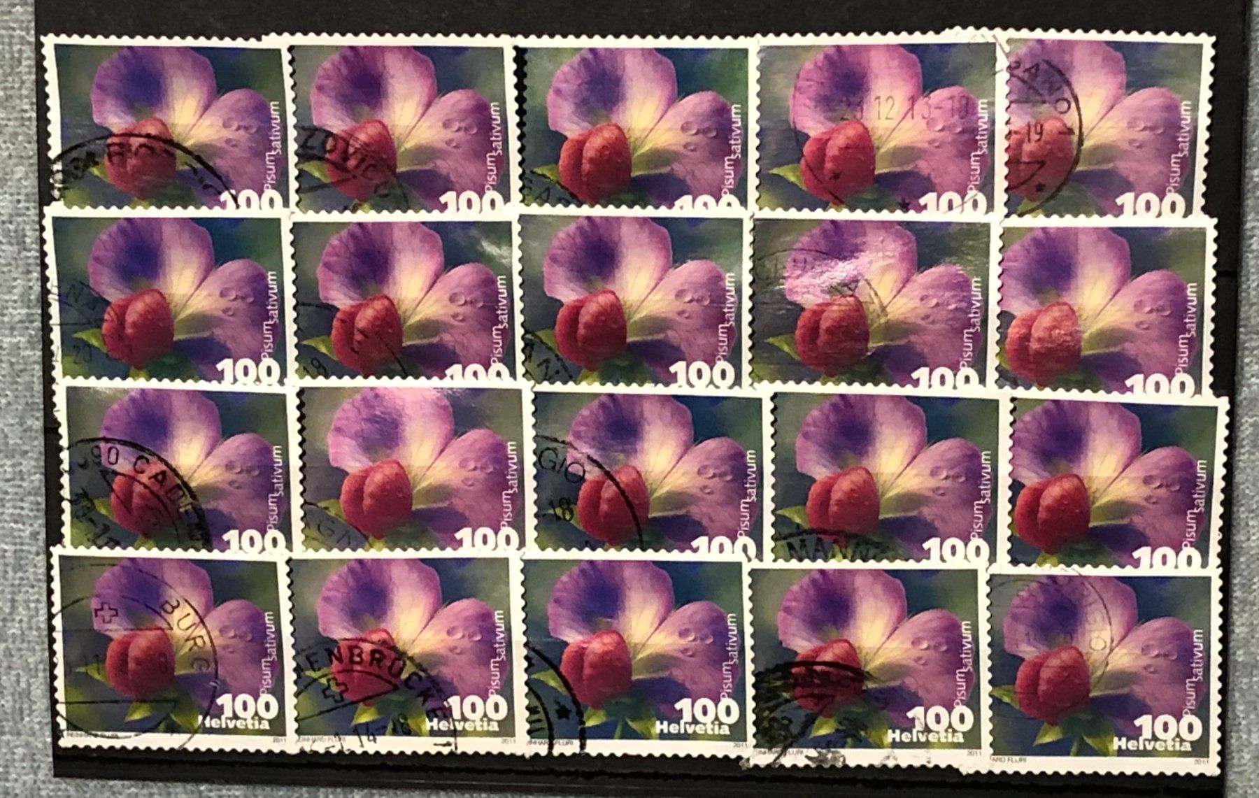 Tutti i francobolli: Nr.1377 Kiefelerbse mit Stempel 2011   – Usato da Aarau venduto da Billa007