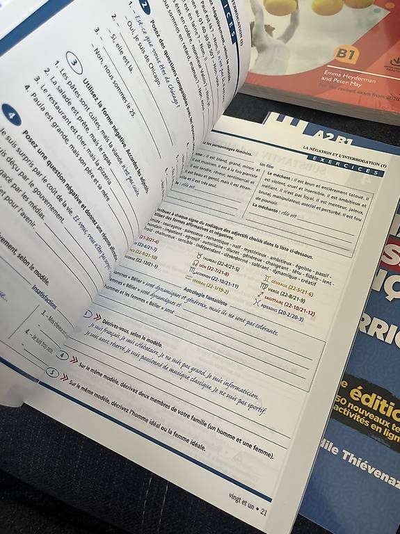 Libri: Grammaire Progressive du Français A2/B1 – Nuovo (secondo la descrizione) da ittigen venduto da elchrugel 2