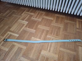 Toller Longchamp Gürtel Türkis