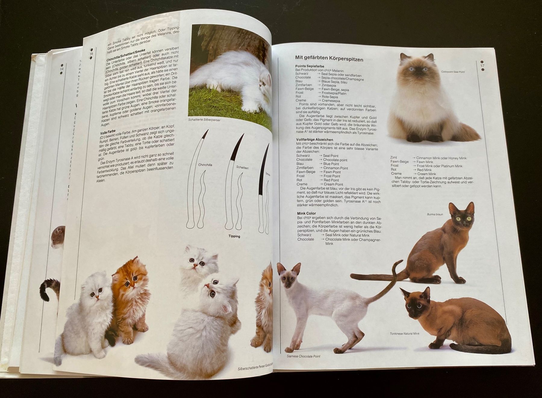 Livres: KATZEN – D'occasion à Nussbaumen AG par schuba2000 3