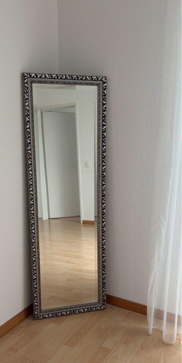 Specchi: Full Length Mirror Silver Frame 150x50 cm – Usato da Glattpark(Opfikon) venduto da der_dh8z