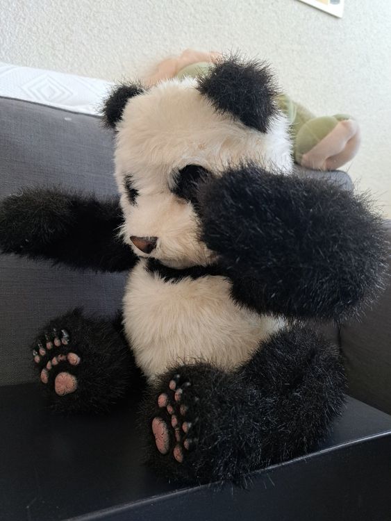 Furreal Friends Panda | Kaufen auf Ricardo