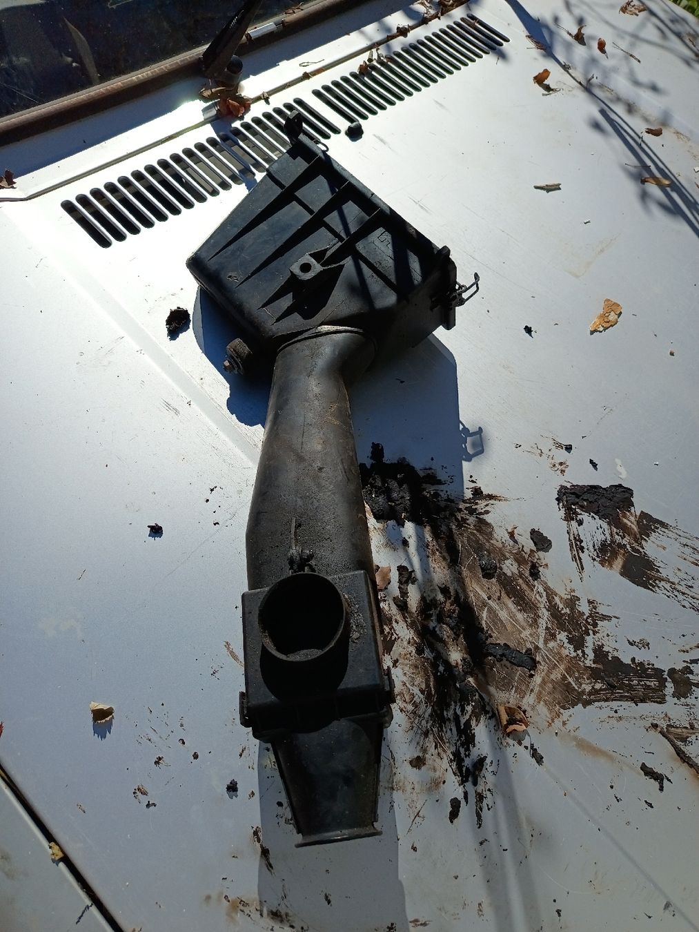 VW Alle Autoersatzteile: Golf 1 Luftfilterkasten  – Gebraucht aus Liesberg Dorf von Paul029 1