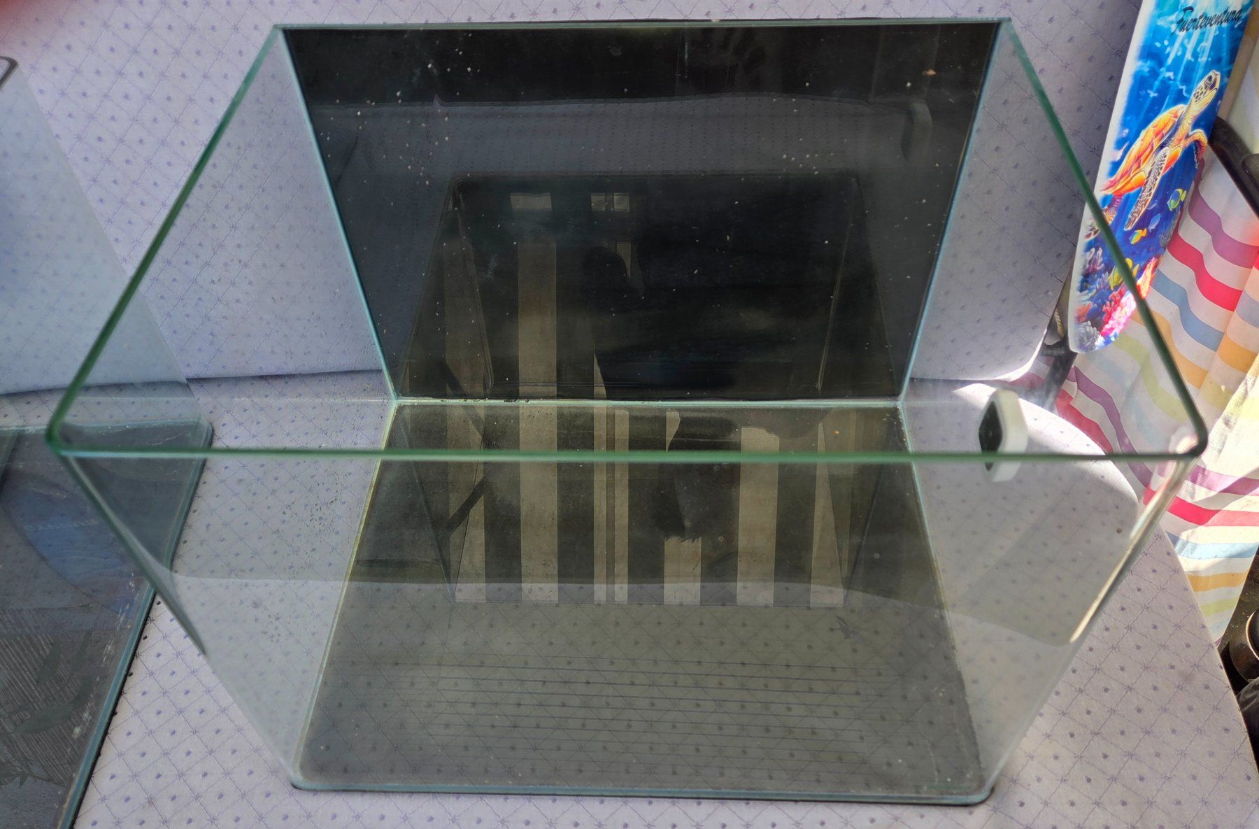 Dennerle Acquari: Dennerle Nano Tank Basic – Usato da Zürich venduto da Heidi69