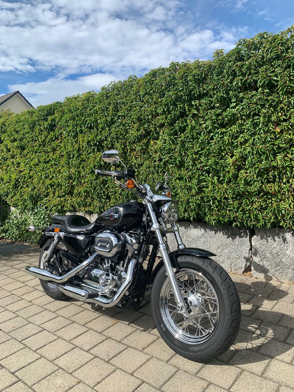 Harley-Davidson Chopper: HARLEY SPORTSTER 1200 C ABS – Usato da Erlenbach ZH venduto da Benjamin_1 4