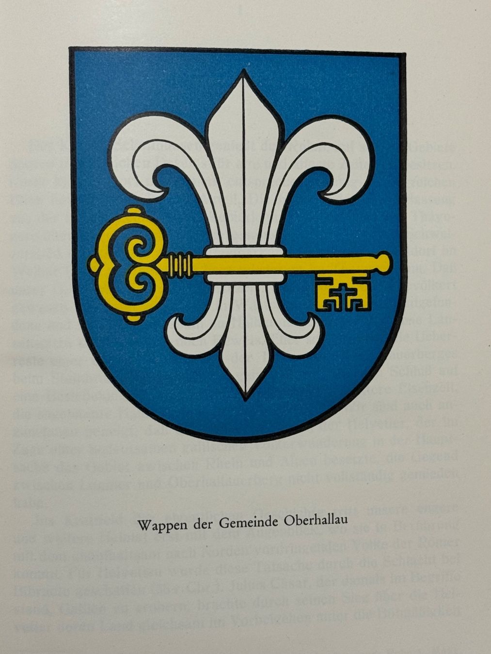 Libri: Rüedi: Geschichte von Oberhallau. 1952 – Usato da Adliswil venduto da buch_und_kunst 1