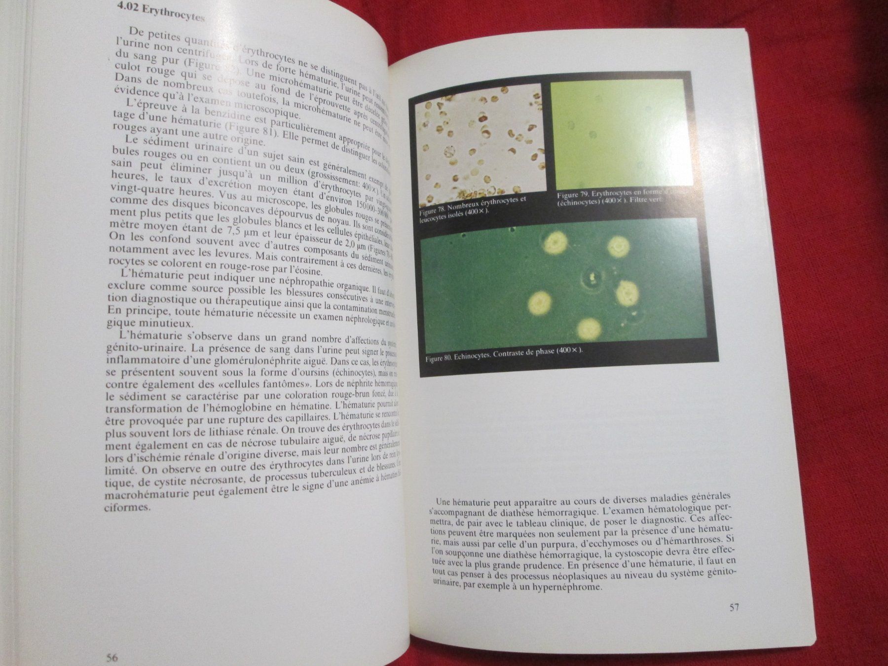 Libri: L'urine vue au microscope – Usato da Neuchâtel venduto da Dualseele 6