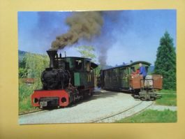 Baumschulbahn Schinznach Lokomotive Sequoia belebt