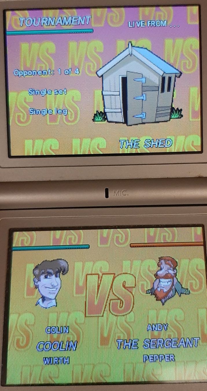 Nintendo Giochi: Touch Darts Nintendo DS – Usato da urdorf venduto da Boo24 3