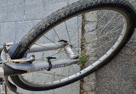 Retro Mountainbike mit Federgabel - Ideal für Herbsttouren
