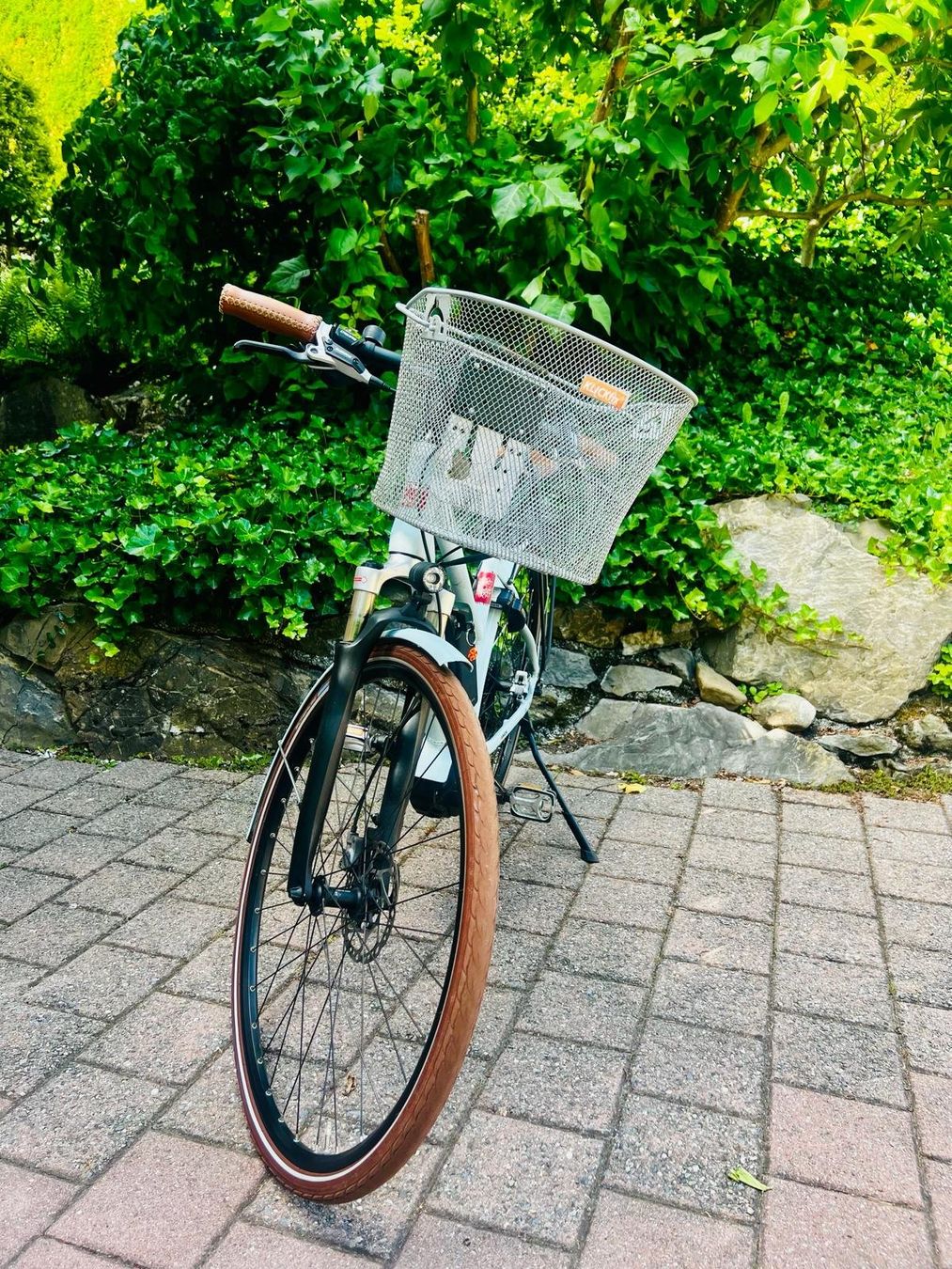 Ibex Biciclette: Ebike Ibex eAvantgarde – Usato da Hergiswil NW venduto da Tinu35 1