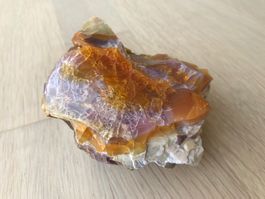 Edel Opal Oregon USA Museumsstück