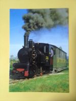 Lokomotive Pinus Schinznacher Baumschulbahn