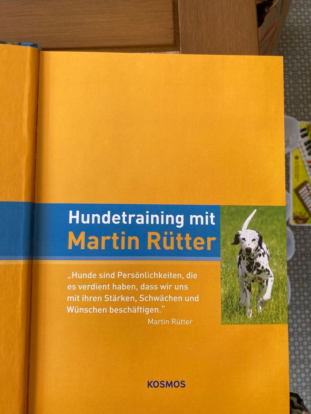 Libri: Buch: Hundetraining mit Martin Rütter, 2006 – Usato da Wichtrach venduto da Aramis3628 2