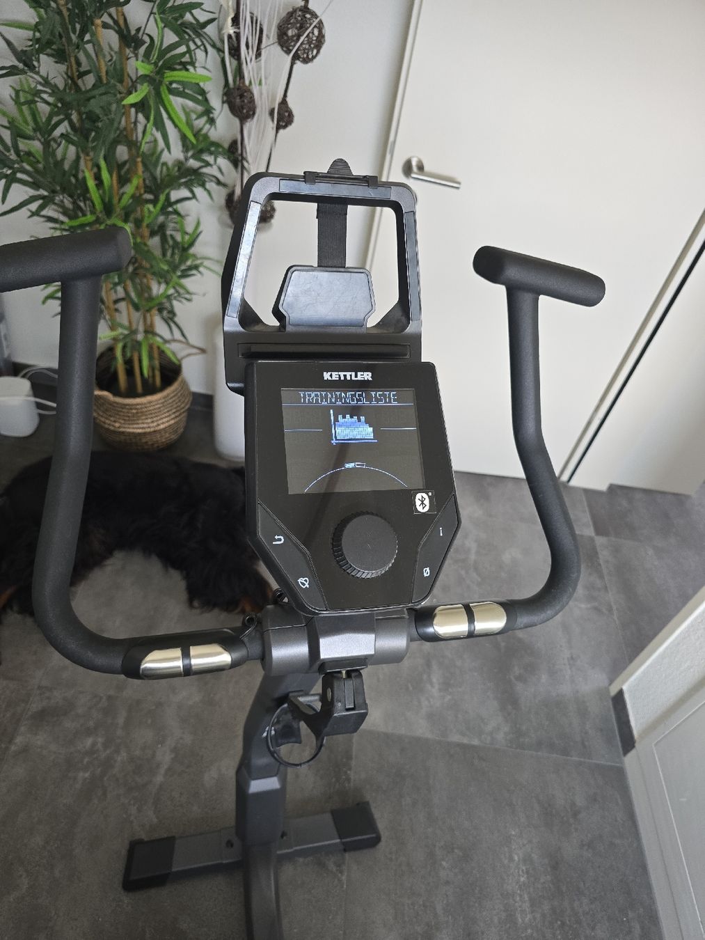 Kettler Vélos d'appartement: Kettler Tour 600 – D'occasion à Therwil par Topaz68 1