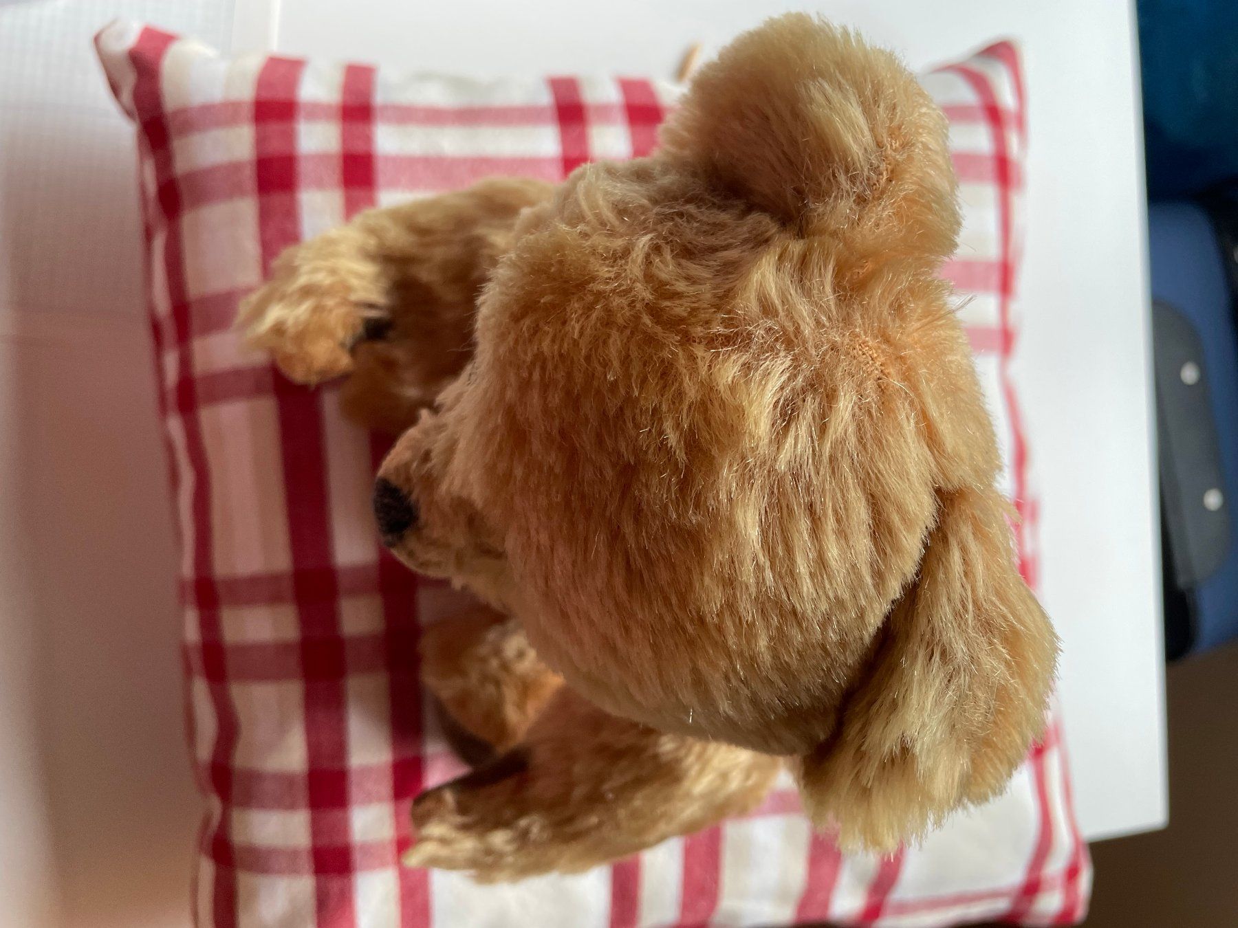 Giocattoli: Sehr gut erhaltener Teddybär mit drehbarem Kopf – Usato da Hausen am Albis venduto da Werk3 8