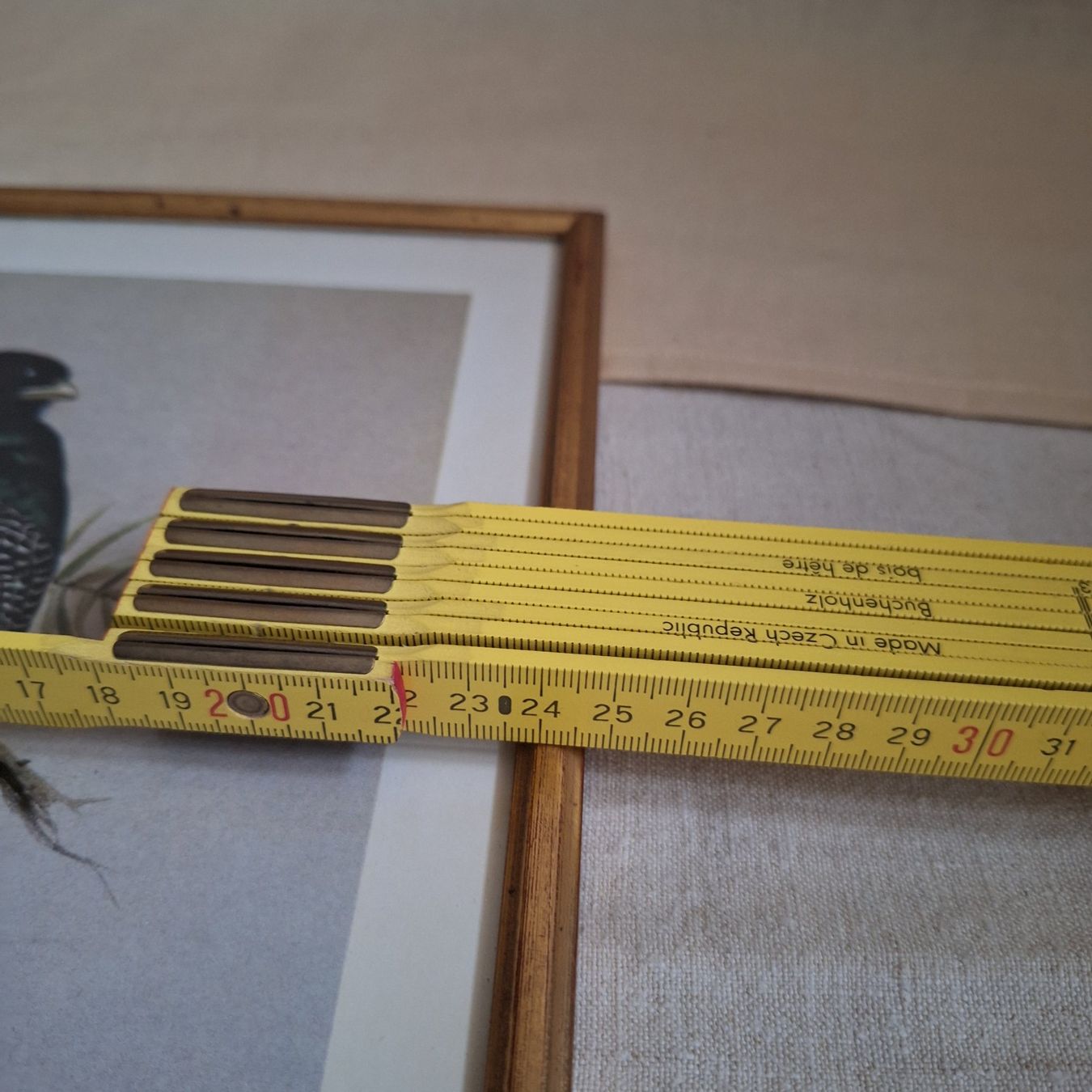 Poster & Bilder: Bild Vintage, Vogel, RENA, Bar-tailed trogon – Gebraucht aus Winterthur von Goldpipau 3