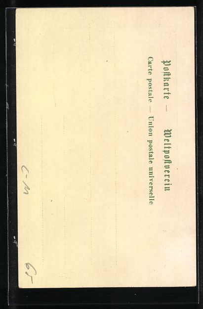 Cartoline postali: Litho Schweizer Wappen mit Edelweiss – Usato da Berlin venduto da bartko-reher 1