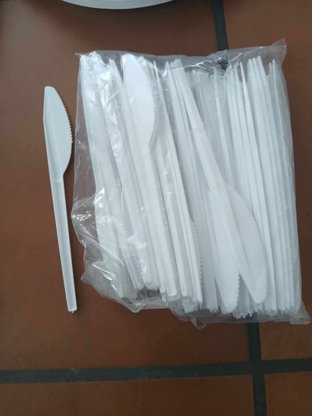 Geschirrsets: Plastik Geschirr restbestand – Gebraucht aus Niederönz von jes_9vs5 2
