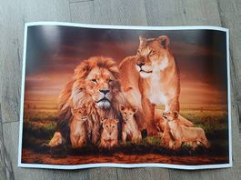 Schönes Löwen -Poster
